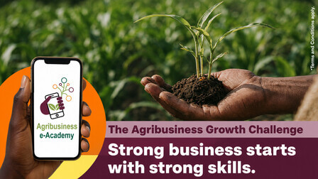 A hand holding a young maize seedling beside a phone showing the Agribusiness e-Academy logo, over a green field, with the words The Agribusiness Growth Challenge and Strong business starts with strong skills