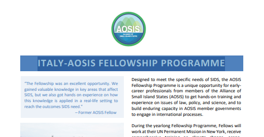Italy-AOSIS Fellowship Programme 2027 in New York for early-career professionals from AOSIS countries