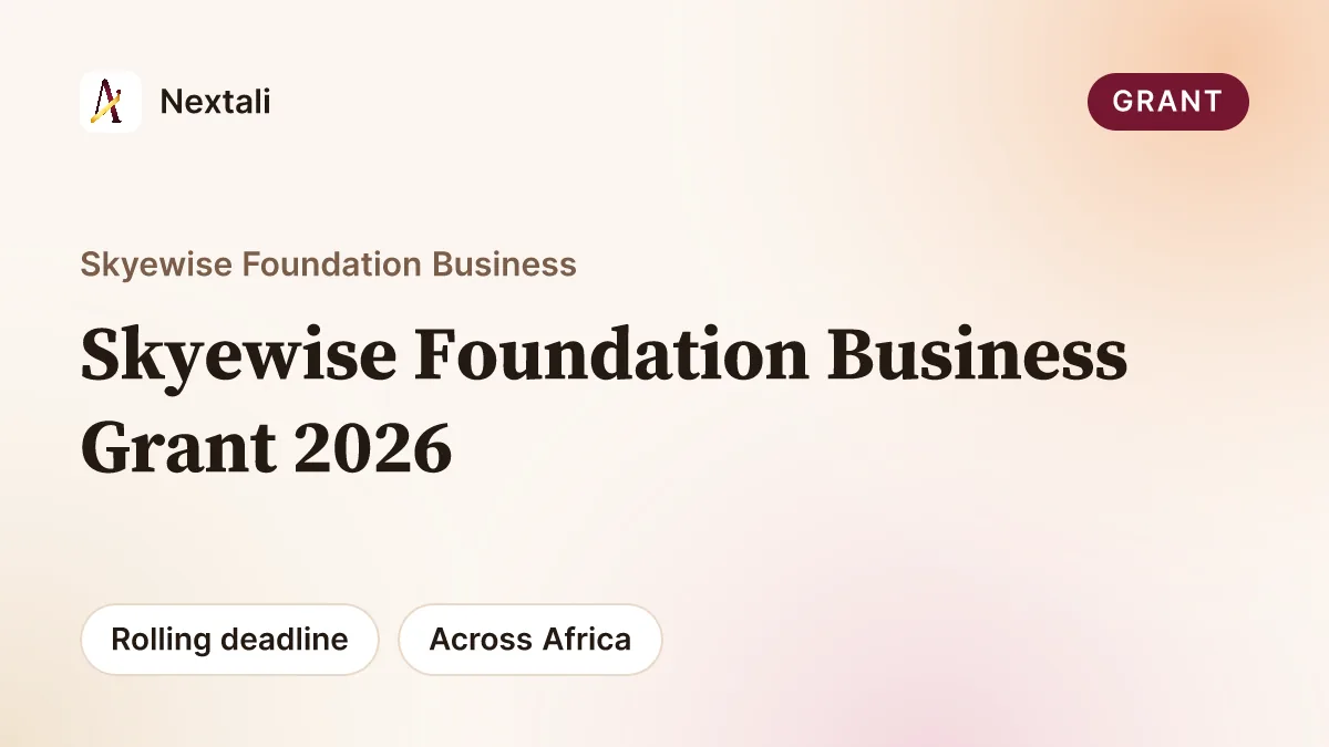 Call For Applications: Skyewise Foundation Business Grant 2026( Up To ₦15 Million Grant)