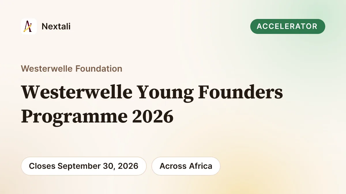 Westerwelle Young Founders Programme 2026 opportunity