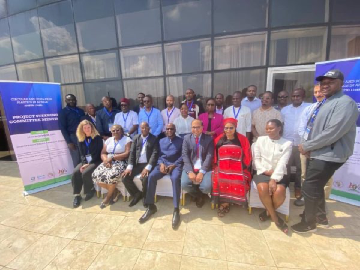 Participants at the Circular and POPs-free Plastics in Africa project steering committee meeting, image supplied by the AfricaPlastics project