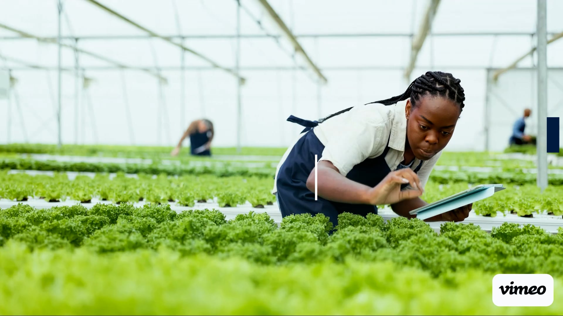 EWAP Research Fellowship Programme, Founding Cohort 2027 opportunity