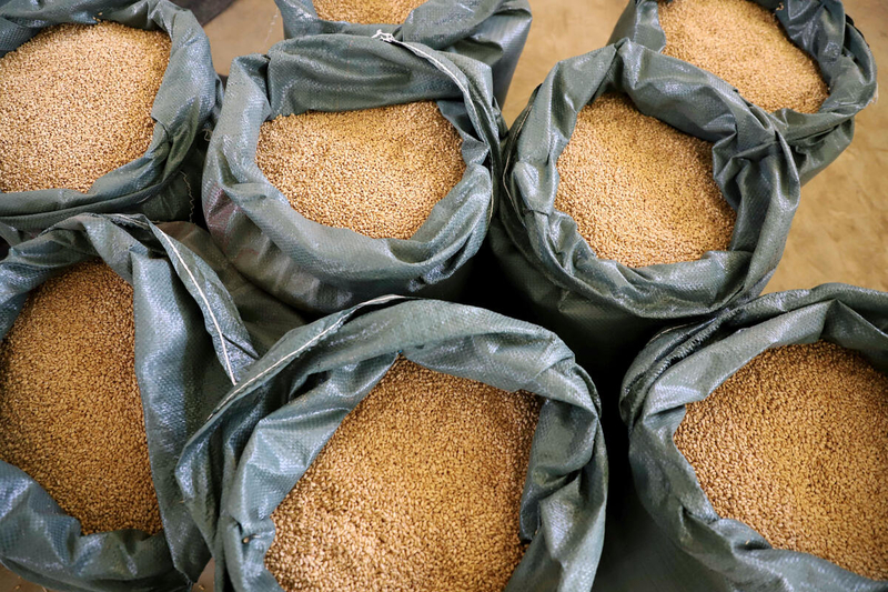FAO response to global food security, photograph credited to FAO