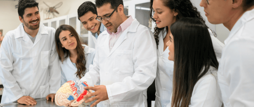 Early career researchers in lab coats gathered around a brain model during a neuroscience training session.