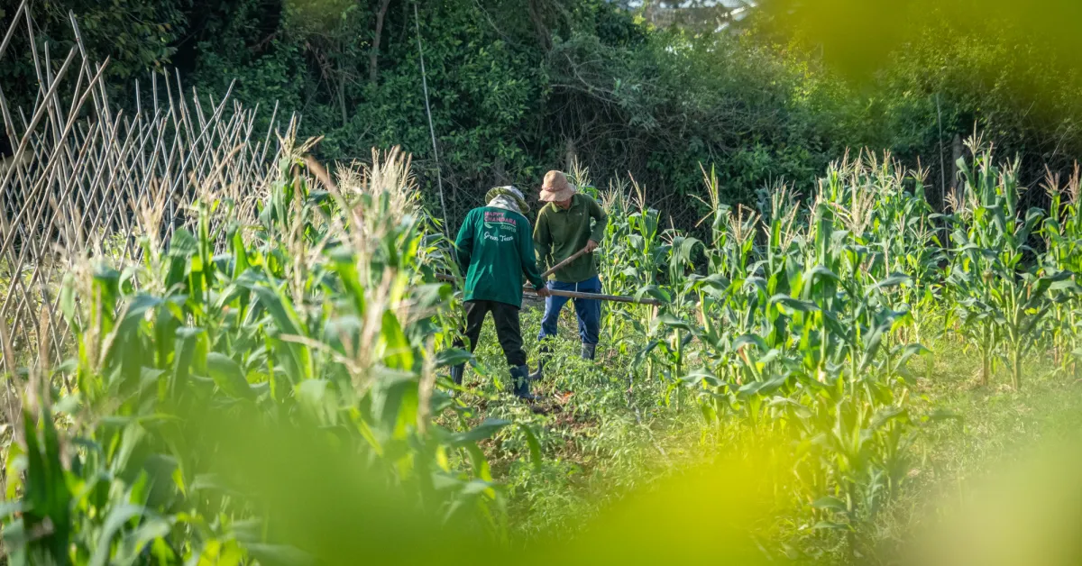 Agroecology farm for girls led by an endorsed initiative of the UNESCO International Decade of Sciences for Sustainable Development